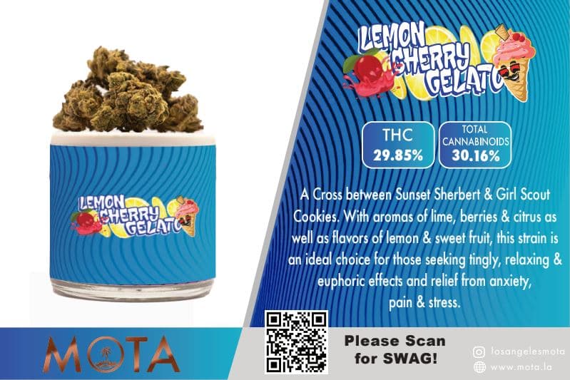 Mota Flower Lemon Cherry Gelato
