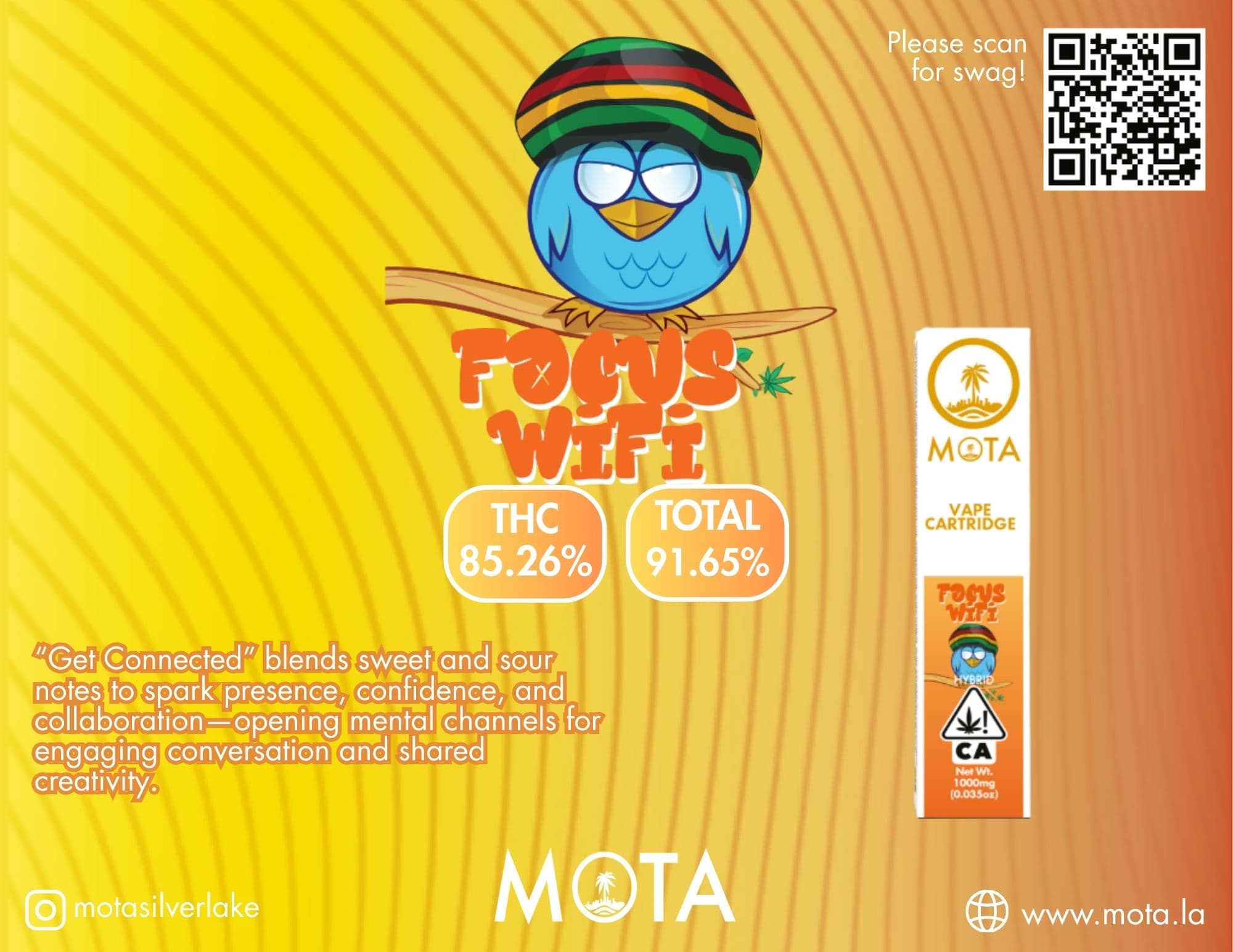 Mota Cart Wifi 1g